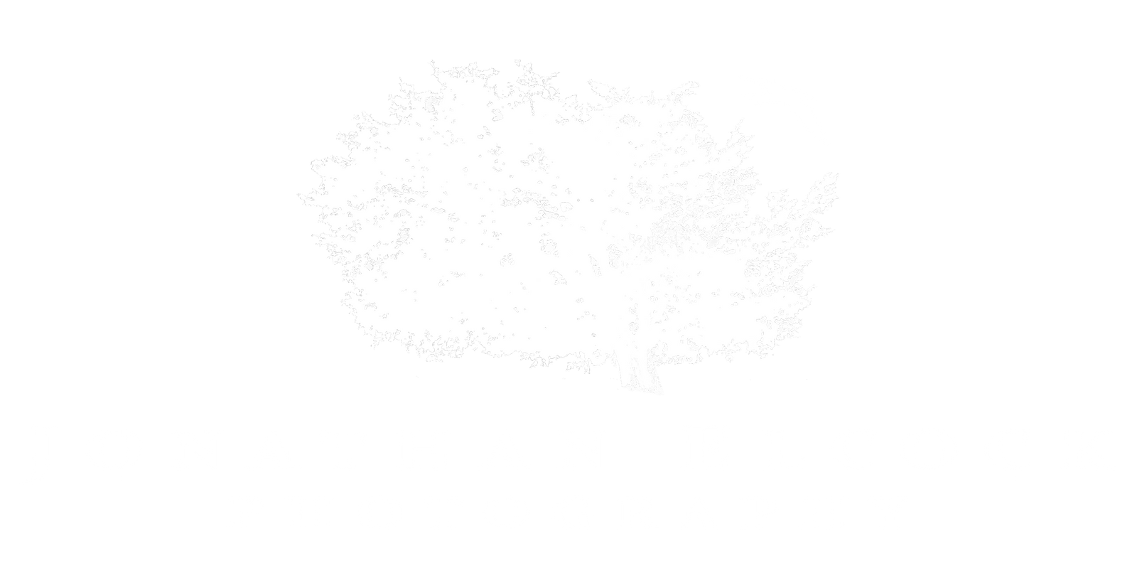 Jonathan Elcock Photography