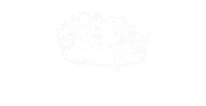 Jonathan Elcock Photography