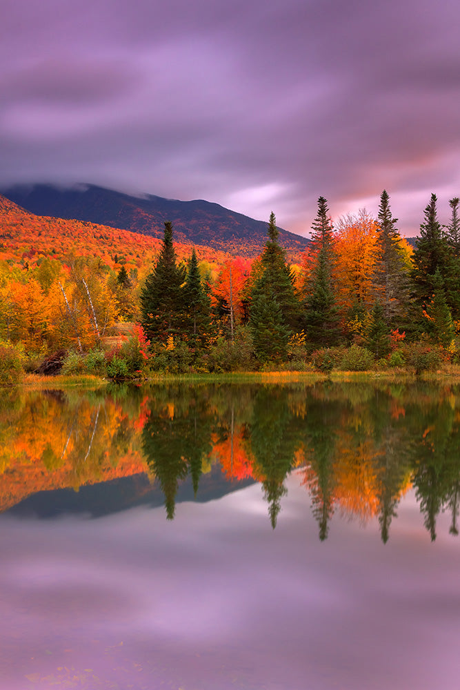 Sunset In Fall Fall Sunset