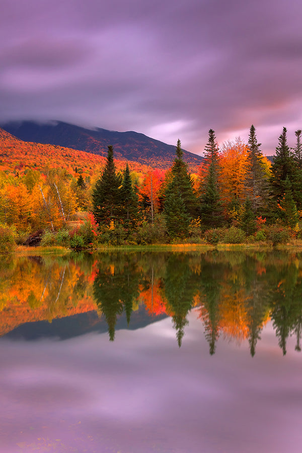 Peak fall foliage reflected on a lake - White Mountains, New Hampshire
