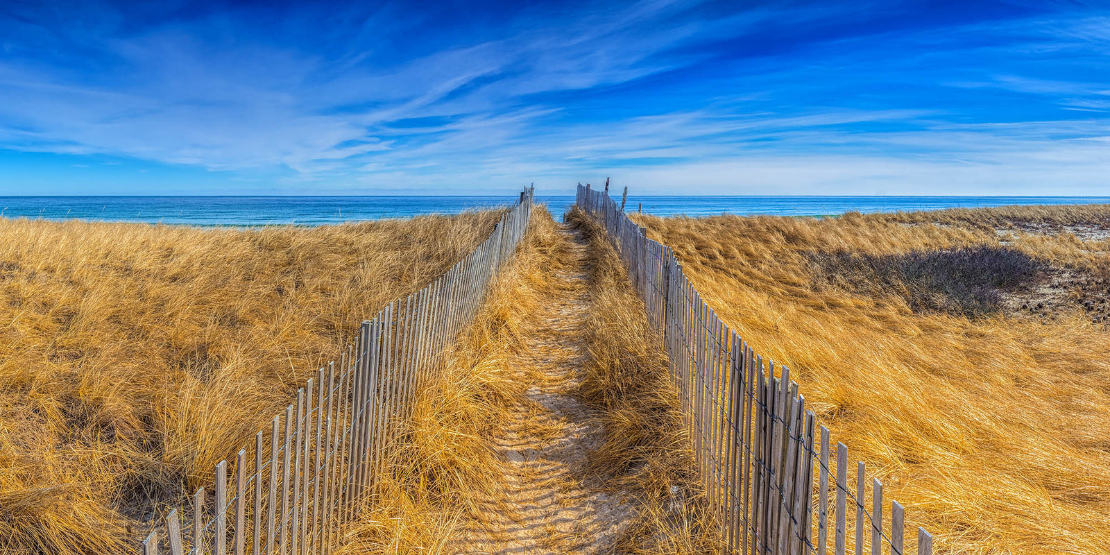 Dune path leading to the beach - Duxbury Beach, Massachusetts