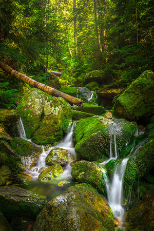 Cascade along the Falling Waters Trail - White Mountains, New Hampshire