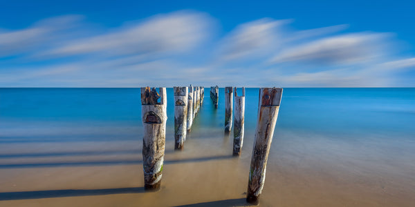 Decaying pilings at Bristol Beach - Cape Cod, Massachusetts