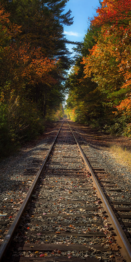 Railroad with fall foliage - Oxbow National Wildlife Refuge, Massachusetts