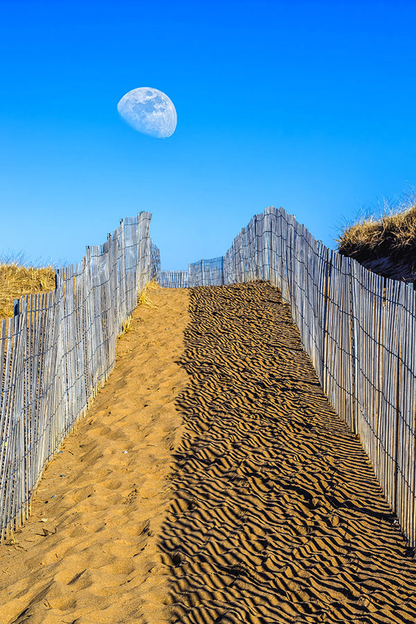 Daytime moon over sand dunes - Plum Island, Massachusetts