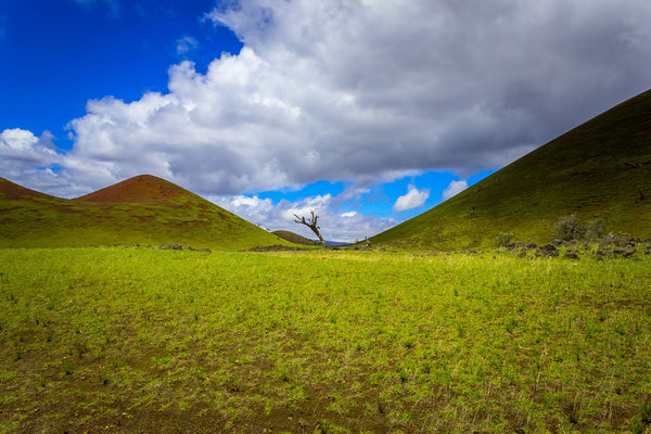 Volcanic hills with a carpet of green grass - Big Island, Hawai'i