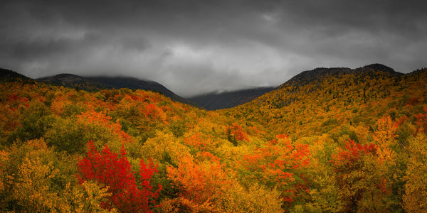 Peak fall foliage on Mount Lafayette - White Mountains, New Hampshire