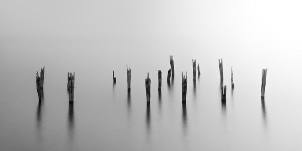 Decaying pilings covered in fog over the Boston Harbor - Massachusetts
